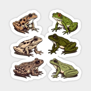 Frogs, Tropical Animal, Love Frogs Magnet