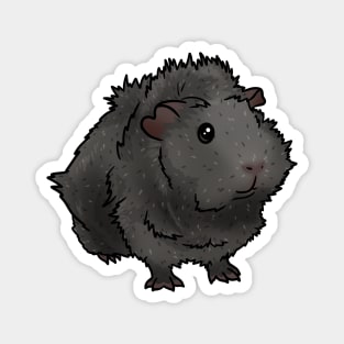 Grey Agouti Abyssinian Guinea Pig Magnet