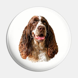 Springer Spaniel Gorgeous and Happy! Pin