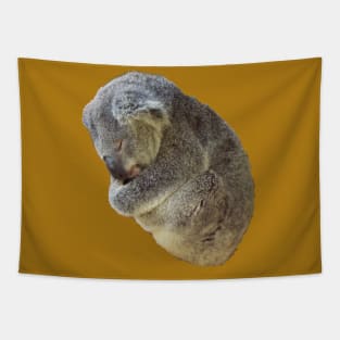 Sleeping Koala Bear Tapestry