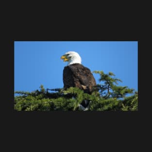 Bald eagles: Two As One T-Shirt