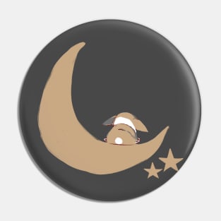 Moon Pin