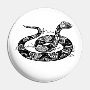 Snake Vintage Image Pin