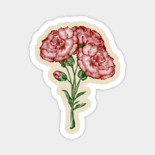 Carnation Magnet