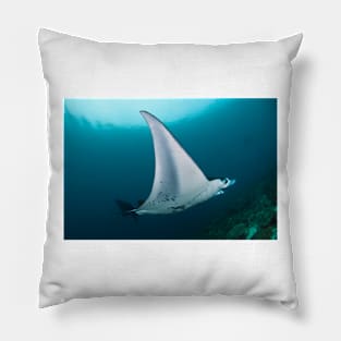 Manta ray (C002/9079) Pillow