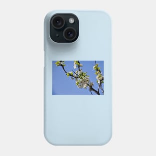 Plum Blossom in Springtime Phone Case