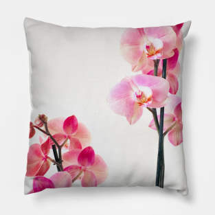 Orchid flowers Pillow