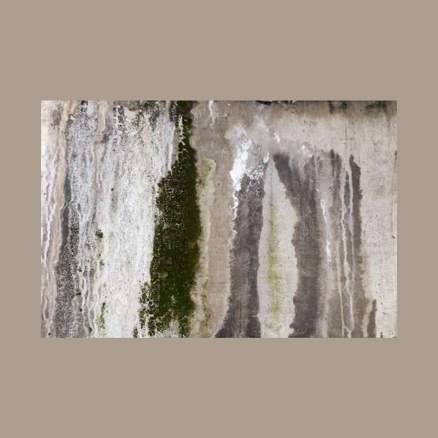 A mossy wall by textural