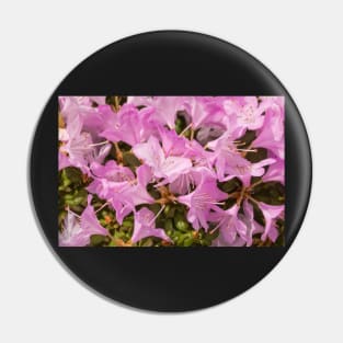 Pink Lilac Rhododendron Flowers Pin