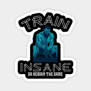 Train insane or remain the same Magnet