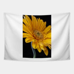 Curvy Yellow Gerbera Daisy Tapestry