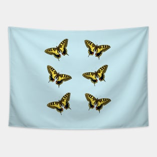 Yellow Swallowtail Butterfly 6 Pack Tapestry