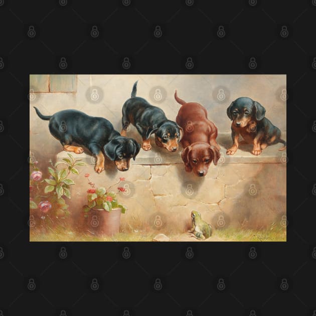 Dachshund Puppies by KarwilbeDesigns