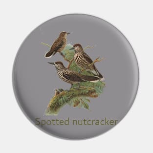 Spotted nutcracker bird Pin