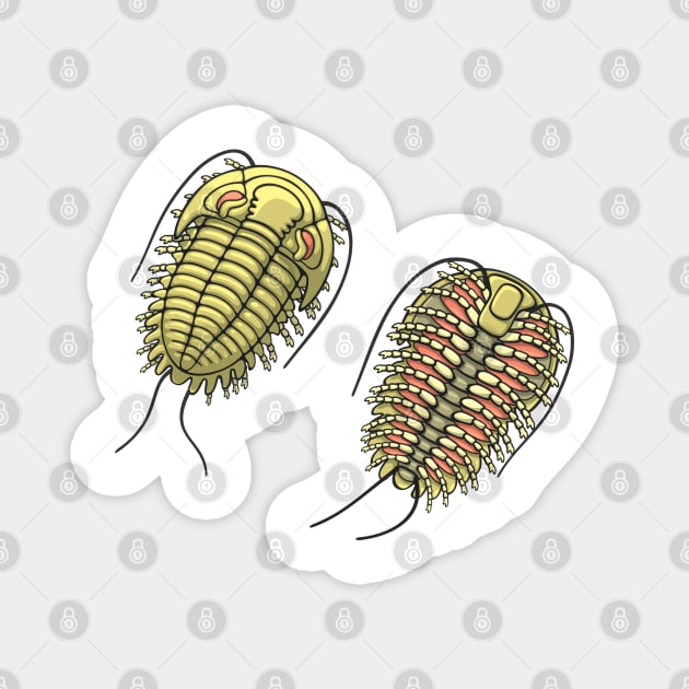 Colored Trilobite Illustration Magnet by taylorcustom