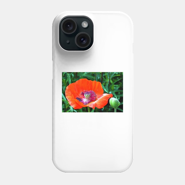 Red Poppy Phone Case by JohnDalkin