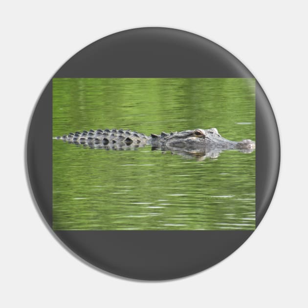 Gatorflauge Pin by 27Captures