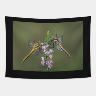 Female Black Darters Tapestry