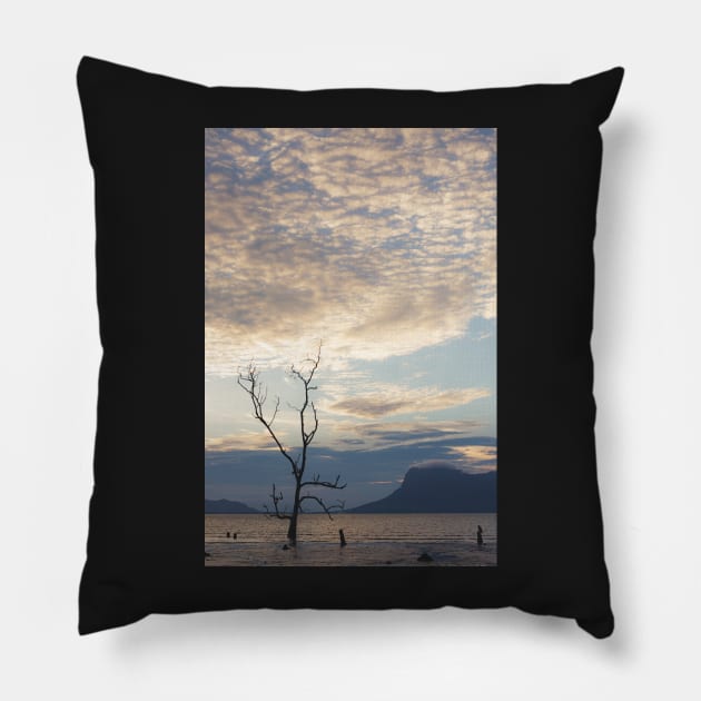 Dead tree in muddy beach Pillow by Juhku