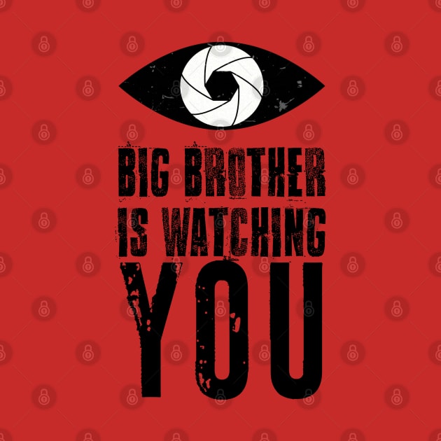 Big brother is watching you by RiverPhildon