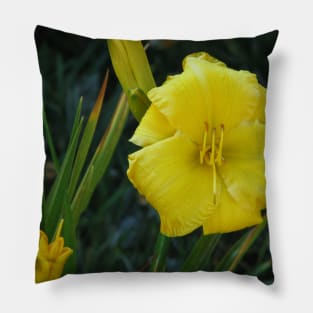 Day lily Pillow