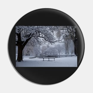 Snowy Tree The Public Garden Boston MA Bench Pin