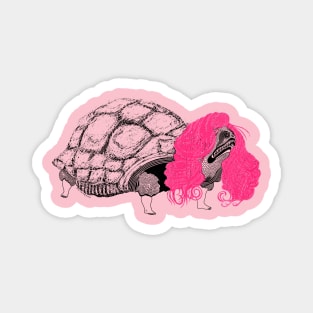 Tortoise and his Hair Magnet