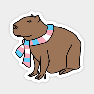 Capybara and Transgender Pride Flag Scarf Magnet