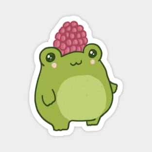 Frog Cutie, Happy Froge Sporting, Pastel Kawaii Raspberry Hat with Joy Magnet