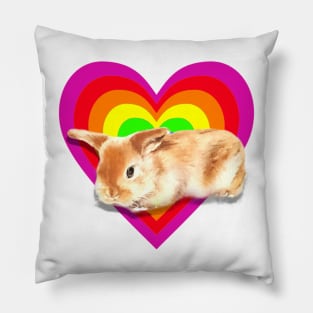 Gorgeous baby satin mini lop in a heart design! Pillow