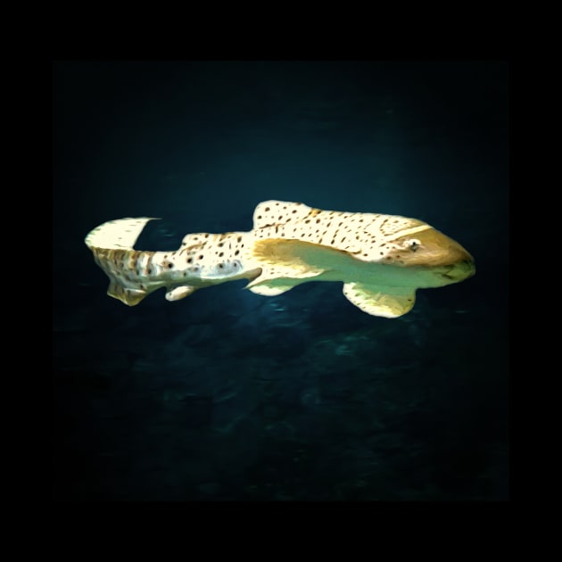 Leopard shark by Guardi