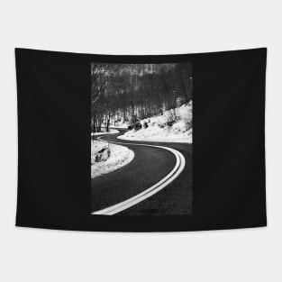 The long and winding road Tapestry