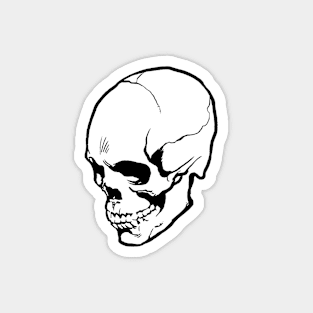 Skull- white Magnet