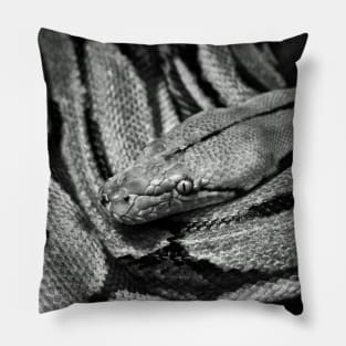 Snake Pillow