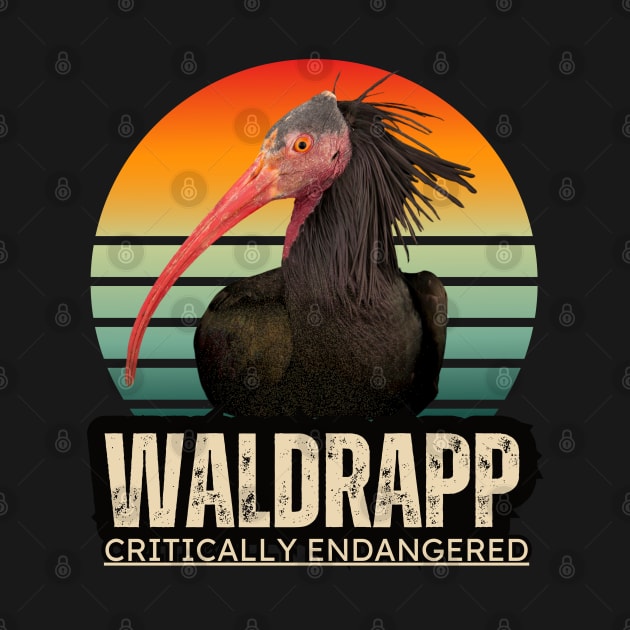 Waldrapp is an endangered specie by TRACHLUIM