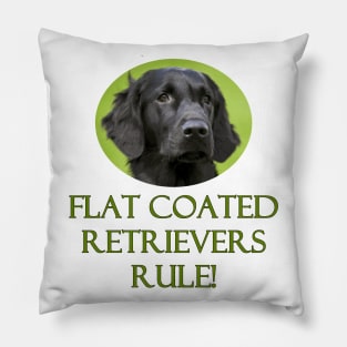 Flat Coated Retrievers Rule! Pillow