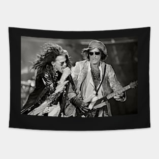 Steven and Joe, Hard Rock, Glam Metal, Rock Icons Tapestry