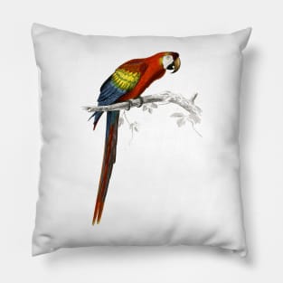 Parrot Pillow