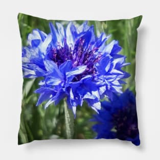 Cornflower Pillow