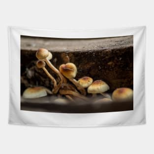 slb shrooms Tapestry