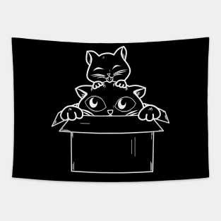 cats in boxes Tapestry