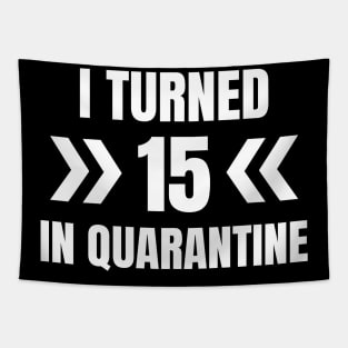 I Turned 15 In Quarantine Tapestry