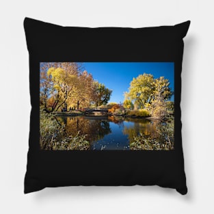 Fall in Hudson park Pillow