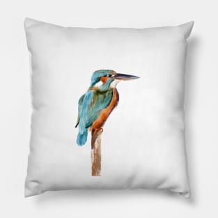 Kingfisher Pillow