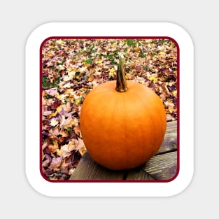 Harvest Colors Magnet