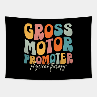 Gross Motor Promoter Retro Physical Therapy PT Pediatric PTA Tapestry