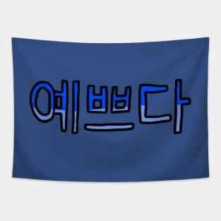 Beautiful in Korean - (Blue) Tapestry