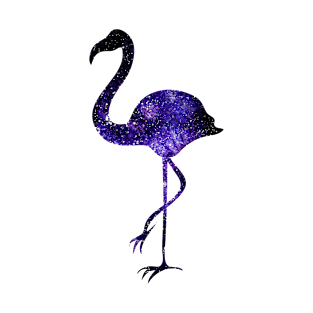 Starry Flamingo T-Shirt