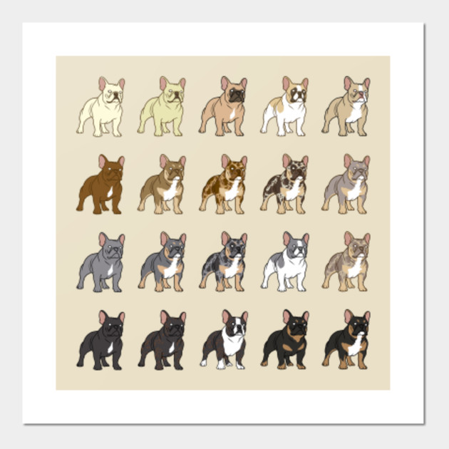 Get Wallpaper Frenchie Colors French Bulldog Posters And Art Prints Teepublic For Android Free