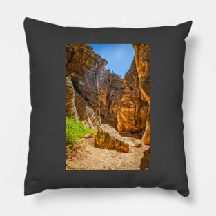 Lick Wash Trail Hike Pillow